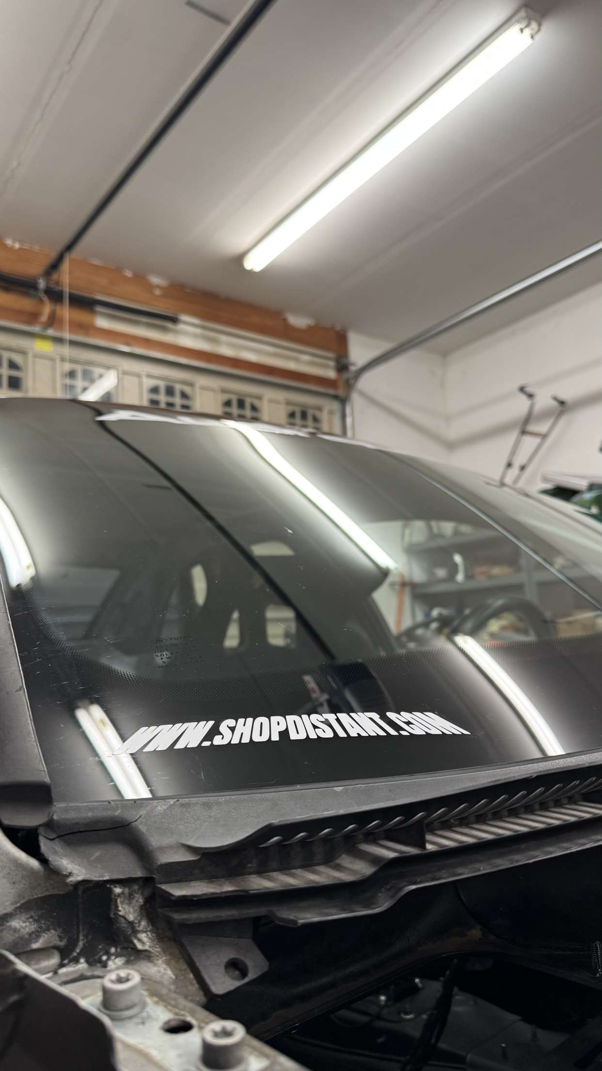 World Wide Web Decal